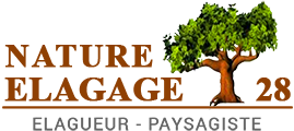 Nature Élagage