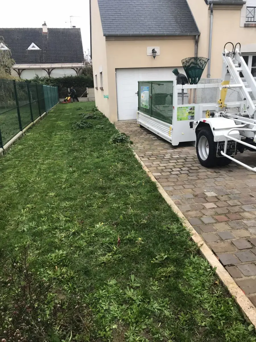 Abattage sécurisé d'un arbre