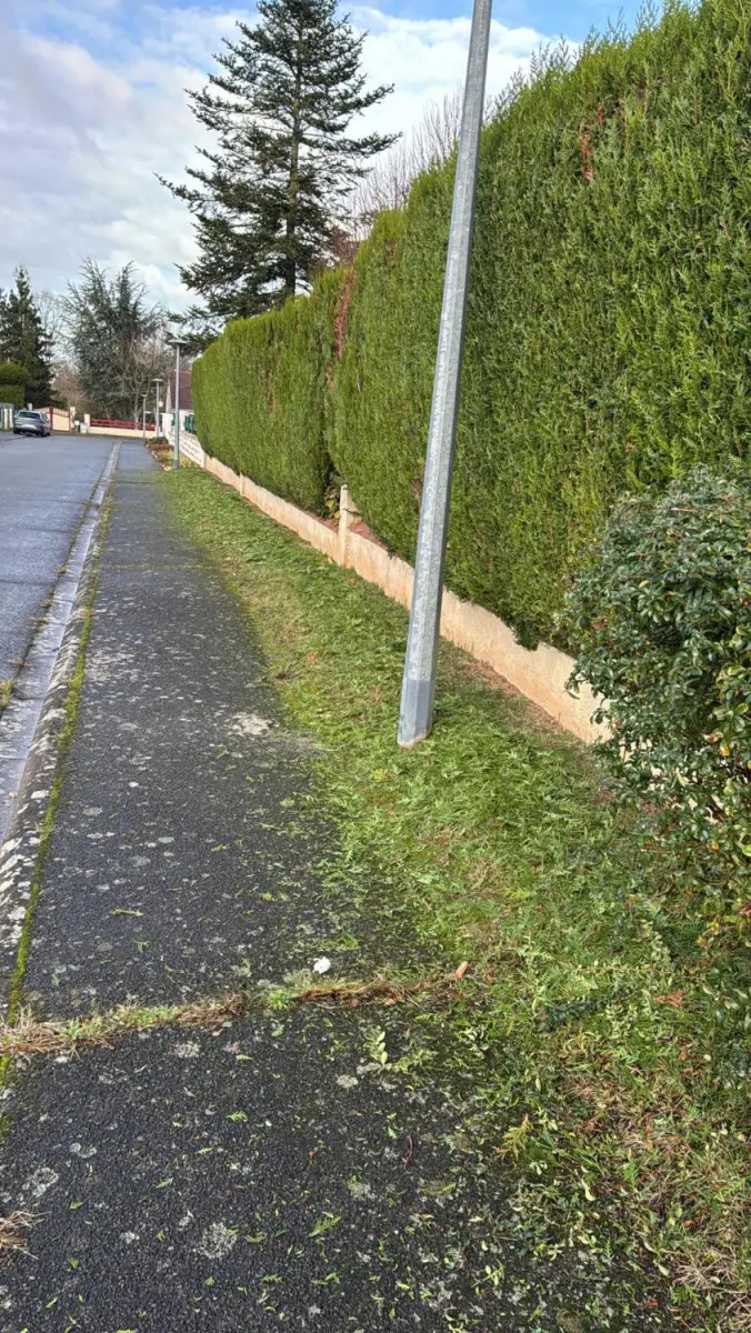 Finition d'une haie taillée