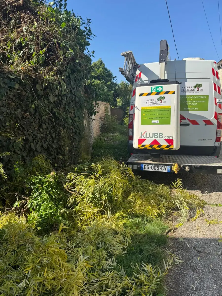 Élagage et évacuation des branchages