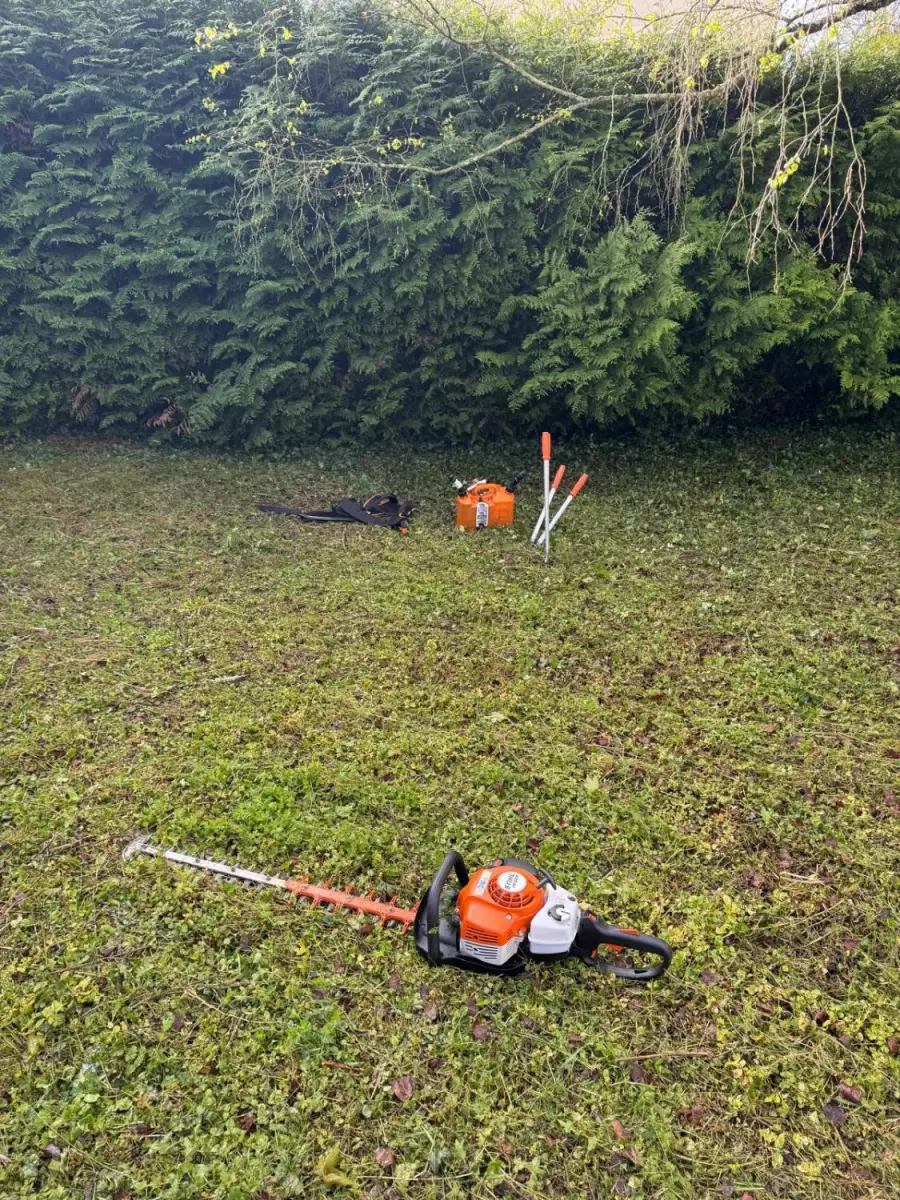 Travaux d'élagage en cours