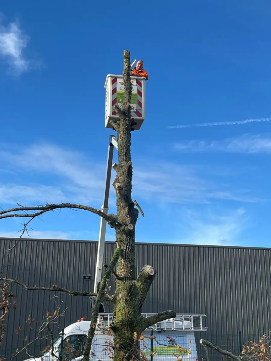 Élagueur de Nature Élagage à la nacelle sur un arbre en Eure-et-Loir
