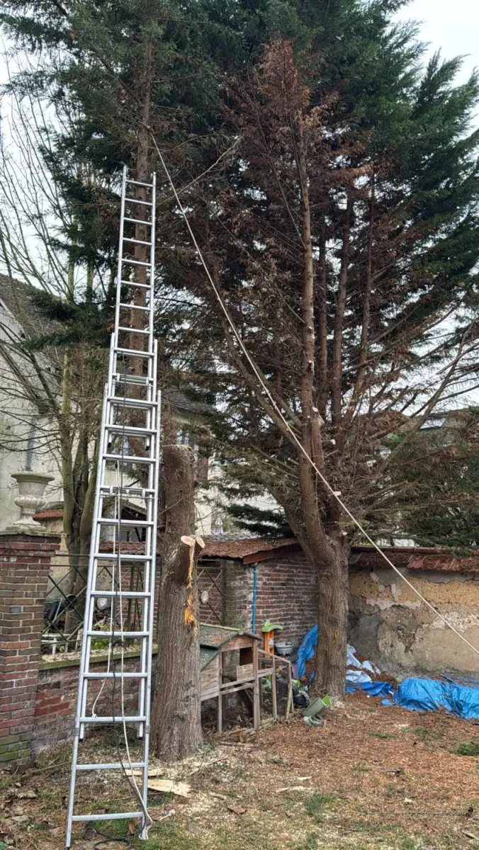 Élagueur au travail en hauteur